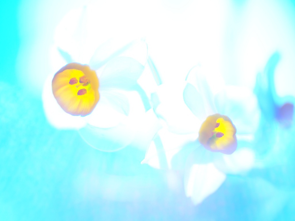 陽気に誘われて