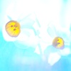 陽気に誘われて