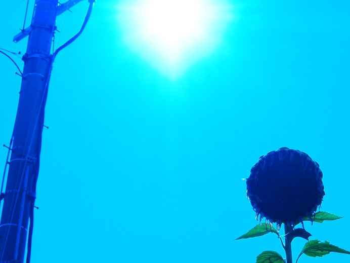 晩夏Ⅰ