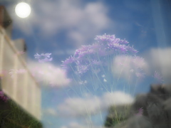 撮らねば・・２