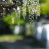 藤棚のある・・