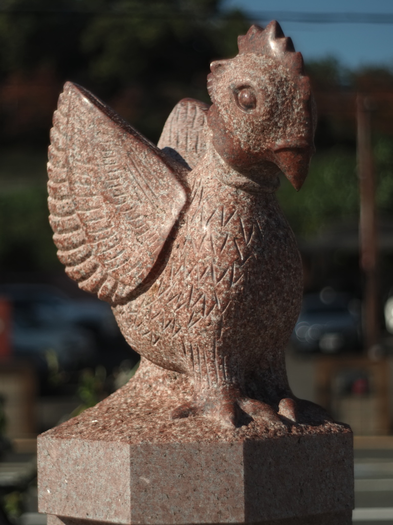 宇宙(COSMOS in NARA 天と地と太陽）「酉（とり）」