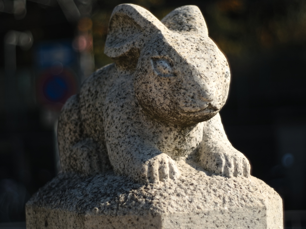 宇宙(COSMOS in NARA 天と地と太陽）卯（う）」