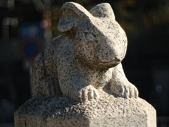 宇宙(天と地と太陽 COSMOS in NARA)「卯（う）」