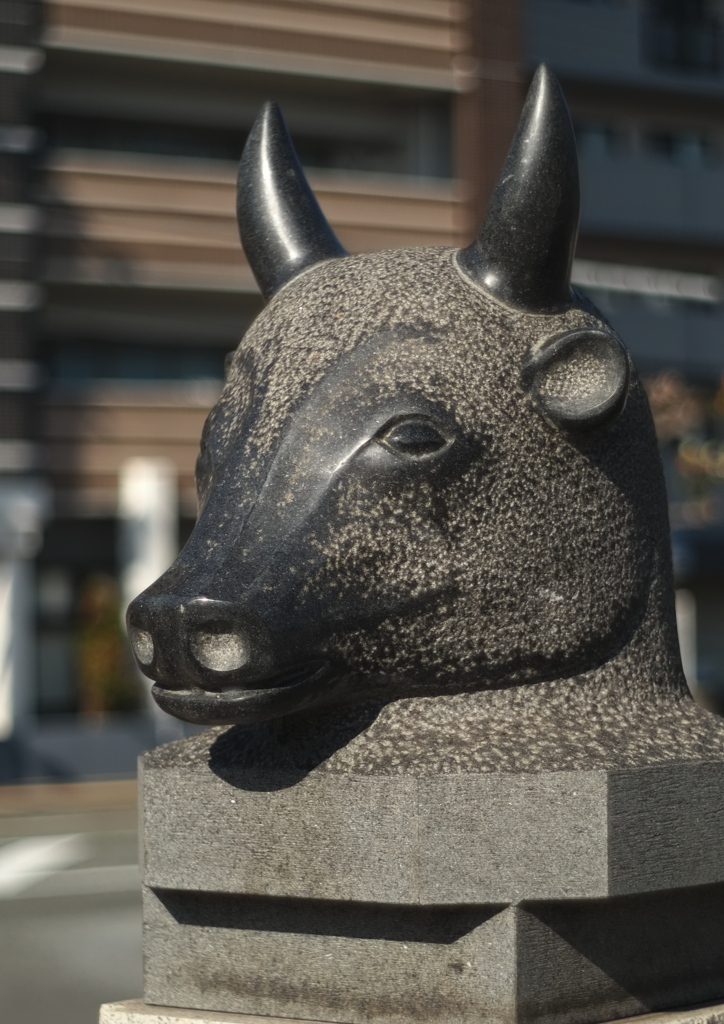 宇宙(天と地と太陽 COSMOS in NARA)「丑（うし）」