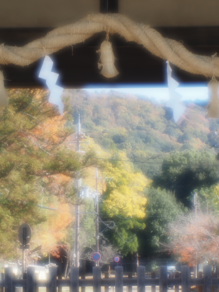 転害門（てがいもん）から春日山を望む（ひとまずの〆）