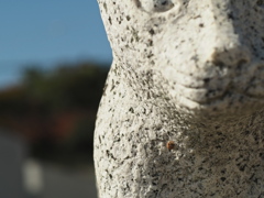 宇宙(COSMOS in NARA 天と地と太陽）「戌（いぬ）」with 蝸牛