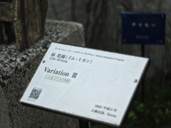 ありがとう。ミカンさん。