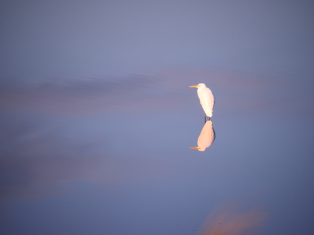 空かも