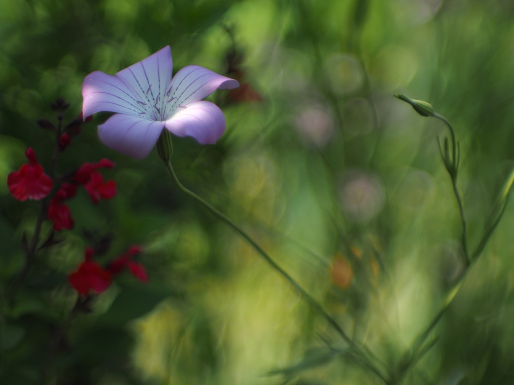 木陰にて・・