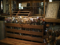 Pump小屋は花盛り