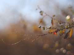 残り雪・・