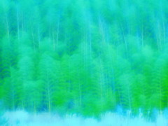 MOEGI