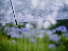 梅雨明け・・
