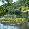 嵐山 of Art Museum