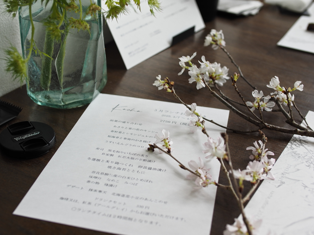 Kachaの花Ⅱ