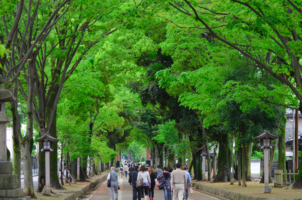 Green approach to a shrine