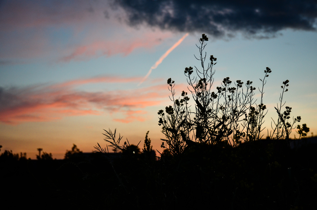 sunset colours