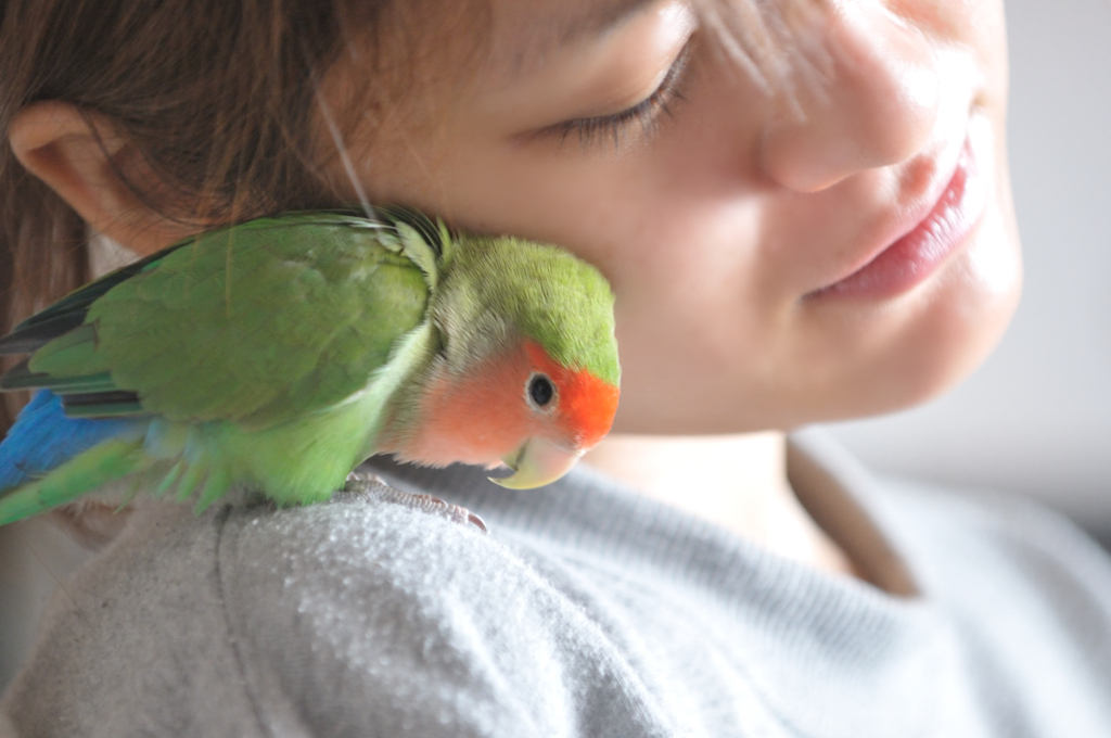 癒しのひととき。。