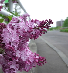 R0006765