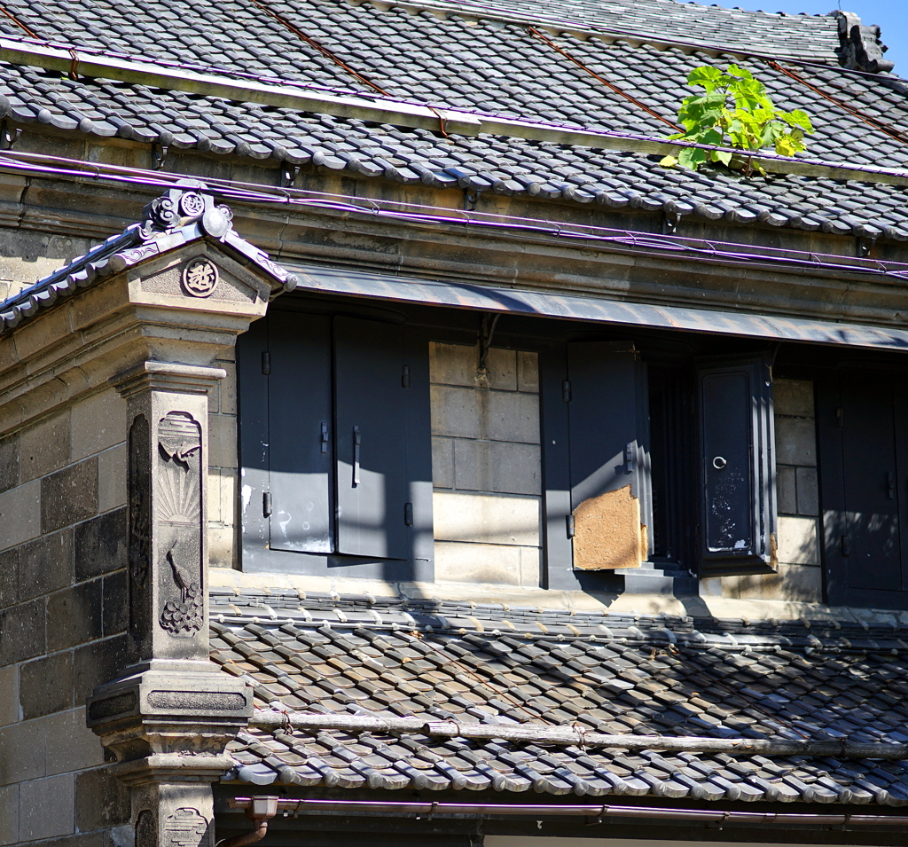 DSC04022