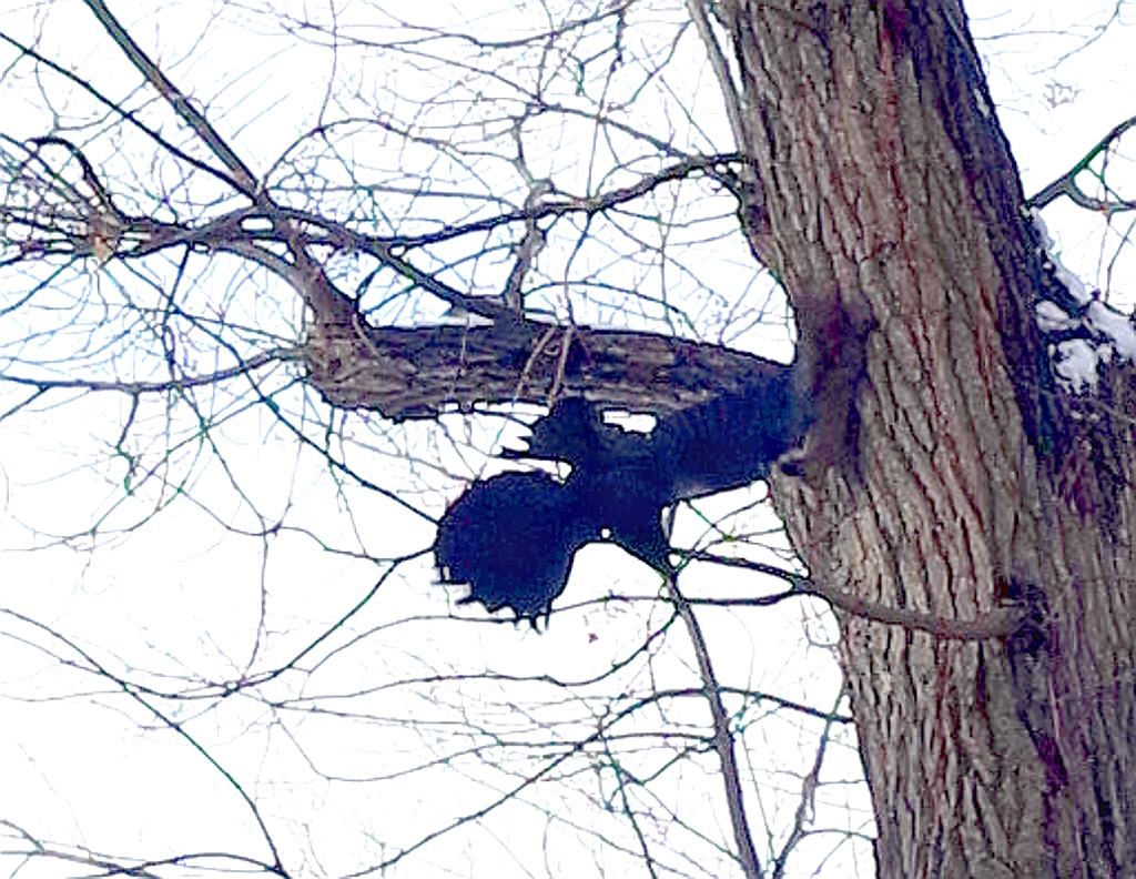 えぞりす VS カラス B