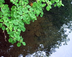 R0006833