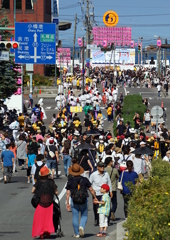 DSC03884