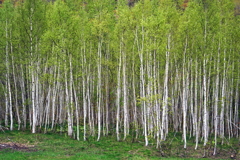 DSC03585