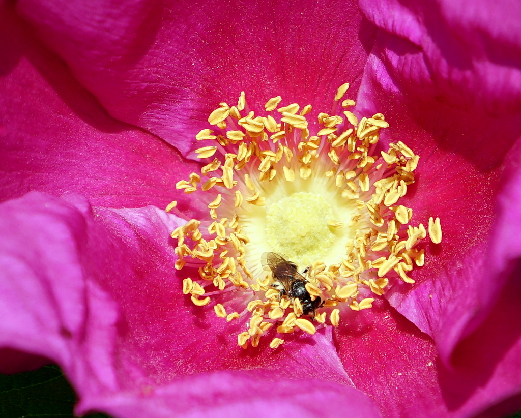 DSC02314