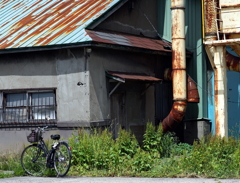 DSC05312