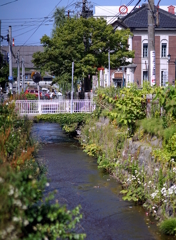 DSC02581