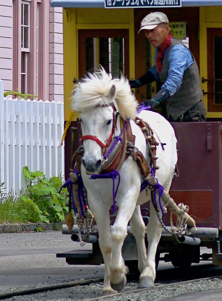 DSC04593