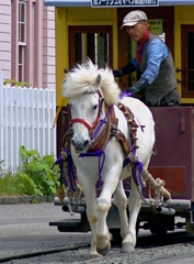 DSC04593