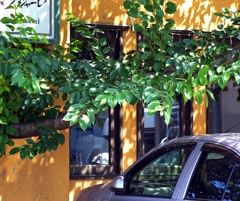 DSC05366