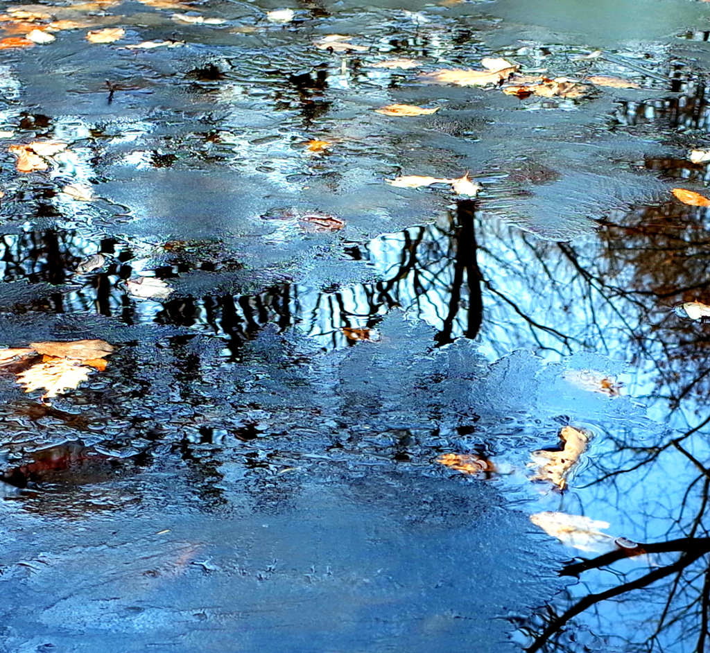 R0005839
