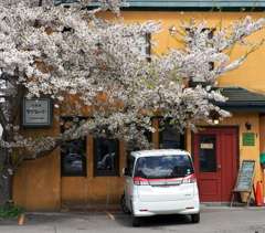 DSC04481