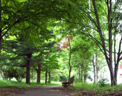 R0006784