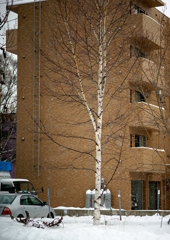DSC04973
