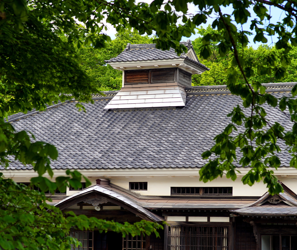 DSC04648