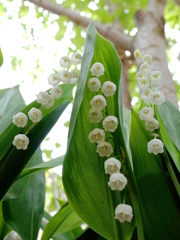 R0006769
