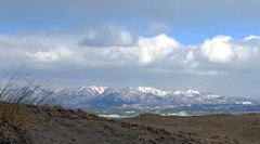 R0005950
