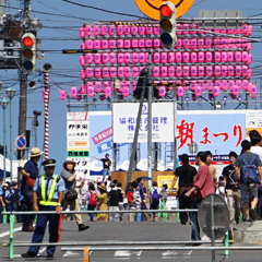 DSC03859