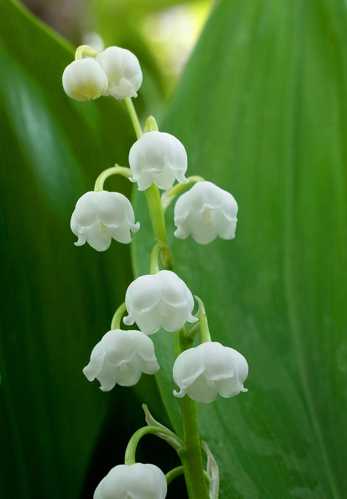 R0006771