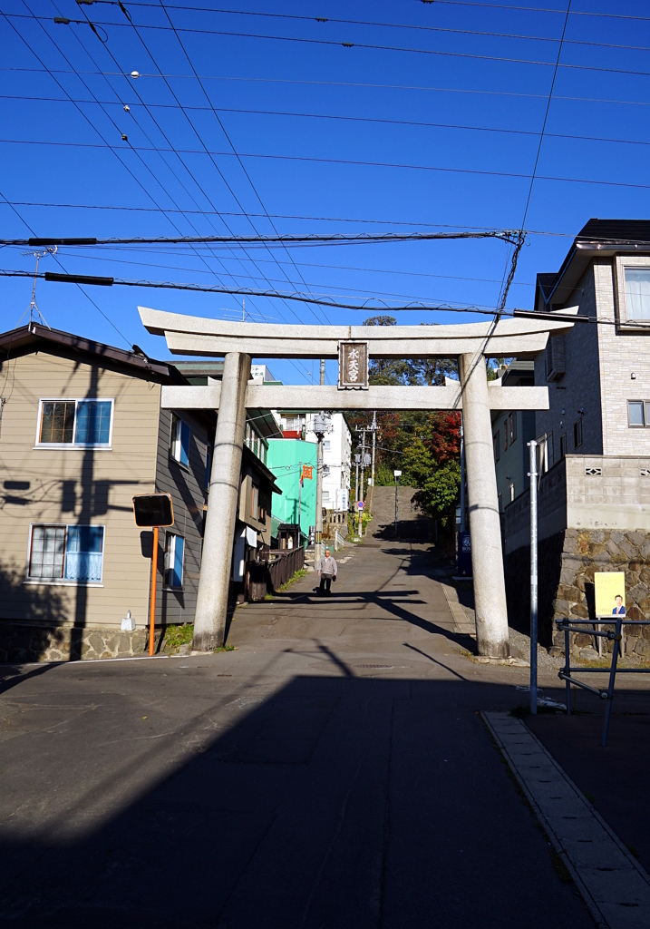 DSC02954