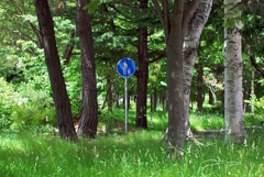 R0006795