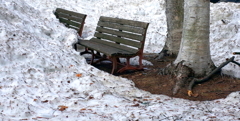 R0006663