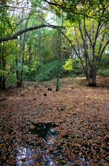 R0005640