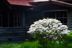 DSC04654