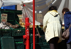 DSC05099